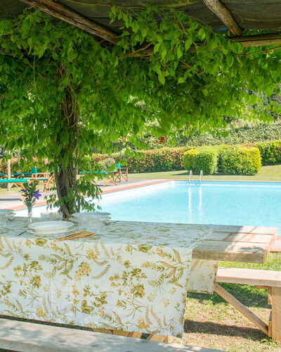 Martini: Schaduw, Tuin, Zwembad, Eco Hotel, Hacienda, Buitenmeubels, Toevlucht, Backyard, Plantage, Outdoor Structuur