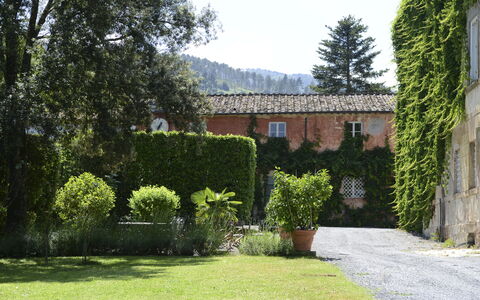Fattoria: Struik, Woongebied, Huis, Landgoed, Tuin, Hacienda, Haag, Landscaping, Binnenplaats