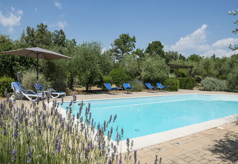 Villa El Olivar: Zwembad, Tuin, Landgoed, Landscaping, Buitenmeubels, Hacienda, Toevlucht, Villa, Backyard, Boerderij