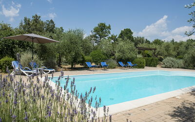 Villa El Olivar: Zwembad, Tuin, Landgoed, Landscaping, Buitenmeubels, Hacienda, Toevlucht, Villa, Backyard, Boerderij