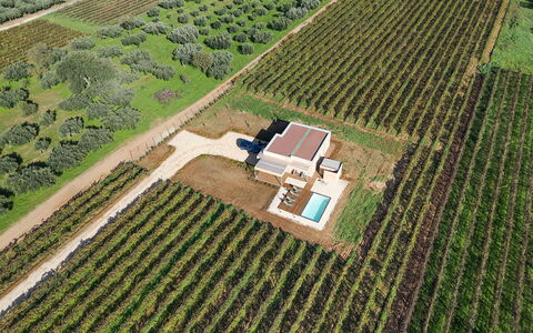 Mami: Plantage, Plain, Land Lot, Landbouw, Veld, Vogelperspectief, Landgoed, Landscaping, Luchtfotografie, Tuin
