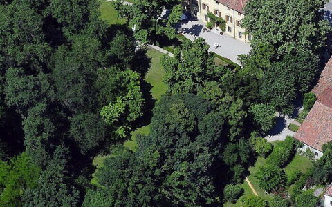 Villa Castellani: Boom, Woongebied, Huis, Struik, Huis, Land Lot, Landgoed, Menselijke Nederzetting, Gazon, Herenhuis