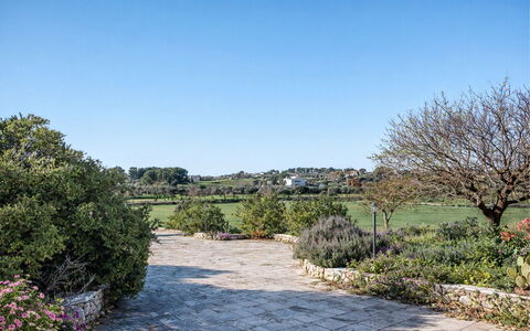 Trulli al Verde Viburno: Struik, Tuin, Plantengemeenschap, Groundcover, Landscaping, Woody Plant, Botanische Tuin, Schaduw, Haag