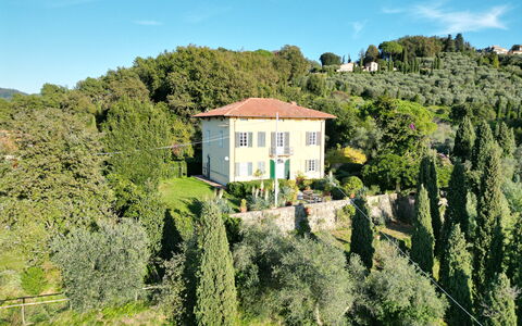 Villa Il Torrazzo, Vista Mare, Massarosa: Blad, Vegetation, Struik, Landschap, Landelijk Gebied, Land Lot, Plantengemeenschap, Groundcover, Landgoed, De Lente
