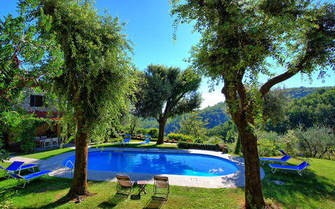 Villa Ulivacci: Blauw, Zwembad, Tuin, Schaduw, Buitenmeubels, Hacienda, Eco Hotel, Landscaping, Backyard, Gazon