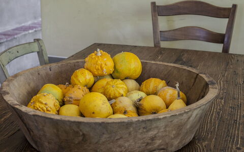Villa Il Colto: Fruit, Voedsel, Produceren, Ingrediënt, Tableware, Natuurlijke Voedingsmiddelen, Mand