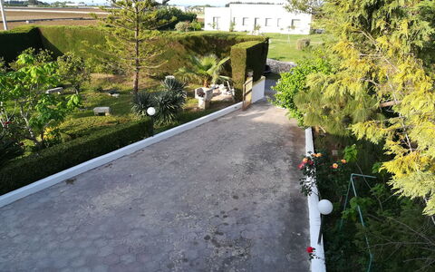 Villa Maddalena: Struik, Tuin, Gang, Landscaping, Oprit, Evergreen, Haag