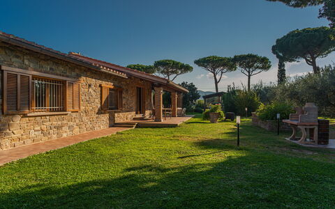 Villa Bolgheri Vermentino Castagneto Carducci: Hout, Huis, Verblijf, Huis, Dak, Landgoed, Land Lot, Landelijk Gebied, Boerderij, Tuin