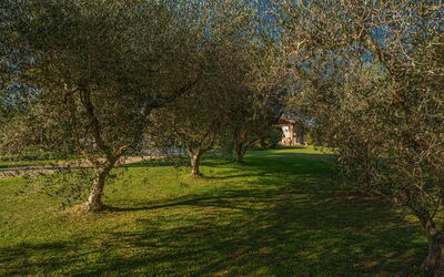 Villa Bolgheri Vermentino Castagneto Carducci