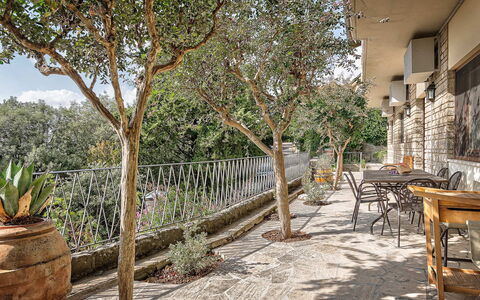 Cortona Deluxe: Schaduw, Buitenmeubels, Flagstone, Bloempot, Stoel, Kamerplant, Veranda, Hek, Balkon, Backyard