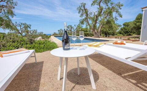 Villa Il Guaceto: Meubilair, Buitenmeubels, Tuin, Schaduw, Buitentafel, Stoel, Landscaping, Eco Hotel, Backyard