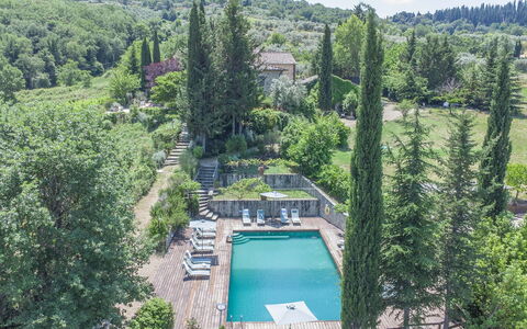 Villa Grevigiana: Boom, Vegetation, Struik, Landschap, Plantengemeenschap, Tuin, Landscaping, Zwembad, Evergreen