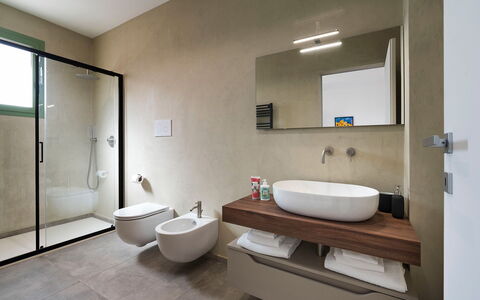 Villa Clemente: Flooring, Interieur Ontwerp, Muur, Loodgieterswerkinrichting, Badkamer, Verdieping, Wastafel, Kraan, Wastafel In De Badkamer, Toilet