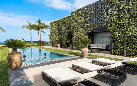 Villa Monica: Tuin, Schaduw, Landscaping, Zwembad, Eco Hotel, Toevlucht, Villa, Hacienda, Binnenplaats