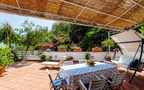 Casa Dorothea 1: Bloempot, Meubilair, Stoel, Buitenmeubels, Kamerplant, Tuin, Buitentafel, Schaduw, Balkon, Patio