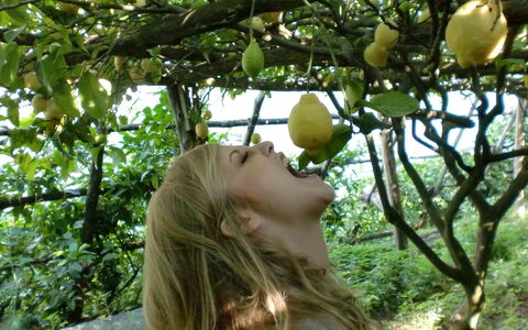Casa Gina: Fruit, Produceren, Natuurlijke Voedingsmiddelen, Voedsel