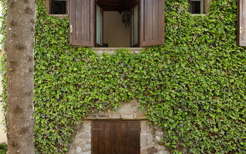 The Sea Farmhouse: Muur, Groen, Struik, De Lente, Tuin, Stenen Muur, Schaduw, Haag, Home Deur