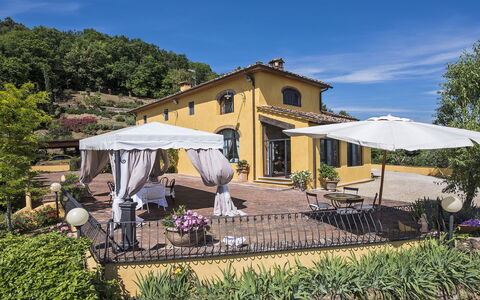 Villa delle Rose: Bloempot, Landgoed, Luifel, Tuin, Hacienda, Stoel, Kamerplant, Villa, Keuken En Eettafel, Landscaping