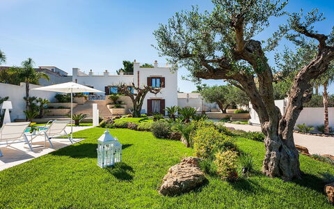 Villa la Pigna: Tuin, Struik, Landscaping, Landgoed, Hacienda, Schaduw, Werf, Gazon, Toevlucht