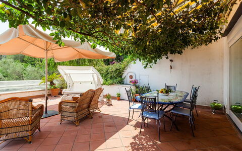 Casa Dorothea 3: Meubilair, Bloempot, Tafel, Stoel, Buitenmeubels, Kamerplant, Buitentafel, Tuin, Keuken En Eettafel, Patio