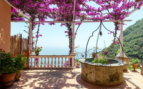 Casa Gemma: Bloem, Roze, Bloempot, De Lente, Purper, Kamerplant, Tuin, Bloemisterij