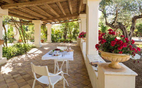 Green Villa: Meubilair, Tafel, Stoel, Bloempot, Tuin, Keuken En Eettafel, Kamerplant, Flagstone, Schaduw, Toevlucht