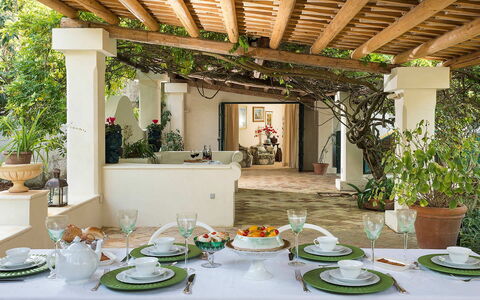 Green Villa: Meubilair, Tafel, Interieur Ontwerp, Stoel, Bloempot, Plafond, Keuken En Eettafel, Kamerplant, Eetkamer, Restaurant