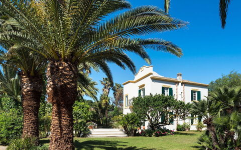 Green Villa: Blauw, Boom, Vegetation, Woody Plant, Schaduw, Landscaping, Tropen