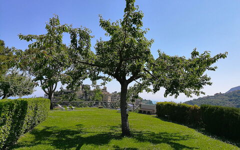 Il Giardino di Ravello: Blad, Afdeling, Boom, Vegetation, Struik, Plantengemeenschap, De Lente, Trunk, Tuin, Woody Plant