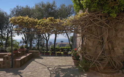 Villa Torre del Sole: De Lente, Bloempot, Schaduw, Tuin, Flagstone, Landscaping, Kamerplant, Gang