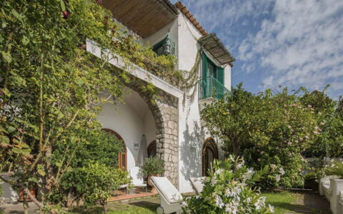 Villa Olivia: Struik, Hacienda, Landgoed, Tuin, Villa, Landscaping, Binnenplaats, Kamerplant, Herenhuis,  Passage\