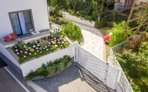 Suite Agave: Struik, Tuin, Stedelijk Ontwerp, Landscaping, Werf, Backyard, Balkon, Binnenplaats, Gang