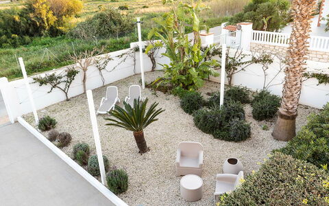 Kalimba: Struik, Tuin, Bloempot, Landscaping, Schaduw, Kamerplant, Werf, Hacienda