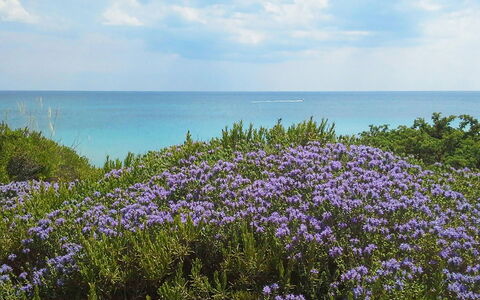 Villa la Rezza: Blauw, Water, Zwemwater, Bloem, Horizon, Zee, Kust En Oceanic Landvormen, Kust, Oceaan, Strand