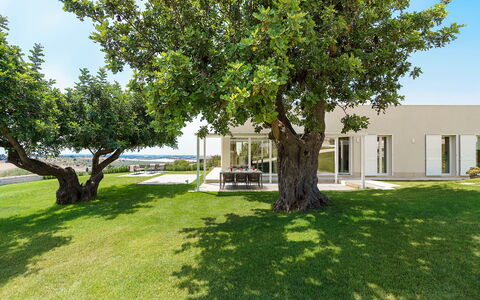Green Hill: Huis, Schaduw, Tuin, Gazon, Landgoed, Landscaping, Werf, Park, Villa, Oprit