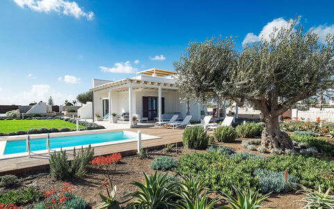 Rosemary: Huis, Landgoed, Tuin, Landscaping, Schaduw, Villa, Hacienda, Outdoor Structuur, Ontwerp, Boerderij