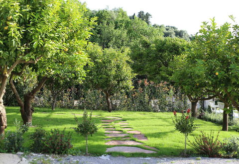 Mermaid Villa: Blad, Struik, Tuin, De Lente, Woody Plant, Gazon, Schaduw, Werf, Backyard