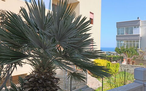Luisa: Woody Plant, Balkon