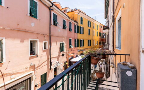 Milena: Buurt, Appartement, Balkon, Ijzer, Verf, Kamerplant, Bloempot