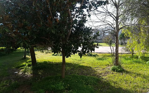 Noemi'S House in Otranto: Blad, Struik, Trunk, Woody Plant, Tuin, Schaduw, Landscaping, Gazon, Werf, Park