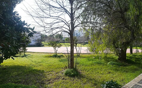 Noemi'S House in Otranto: Blad, Gras, Afdeling, Groen, Natuur, Vegetation, Struik, Tuin, Trunk, Takje