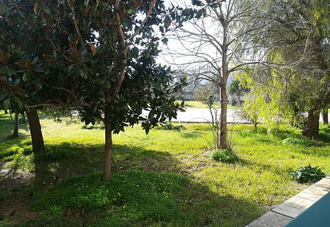 Noemi'S House in Otranto: Blad, Afdeling, Struik, Tuin, Trunk, Woody Plant, Gazon, Schaduw, Landscaping, Werf