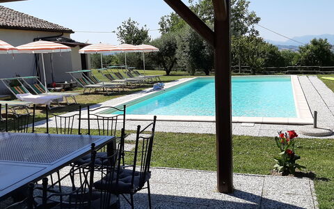Villa Felice, Private Pool and Hills: Zwembad, Buitenmeubels, Meubilair, Toevlucht, Stoel, Thermae, Eco Hotel, Hacienda, Landgoed, Ligstoel