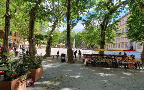 Casa Elena 13: Boom, Weg Oppervlak, Openbare Ruimte, Buurt, Straat, Schaduw, Stadsplein, Plein, Buitenmeubels, Parking