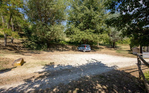 Il Giuncheto, Pool, Amazing View, Umbrian Countrys: Boom, Trail, Bodem, Family Car, Parking, Oprit, Schaduw