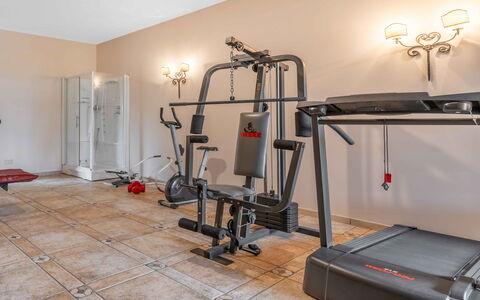 Villa Polistena: Oefeningsmachine, Kamer, Oefen Materiaal, Sportschool, Lichte Inrichting, Televisie, Kamerplant