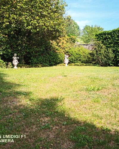 Bellavista Dimora Storica Vista Lago: Gras, Struik, Tuin, Land Lot, Gazon, Backyard, Schaduw, Werf, Landscaping