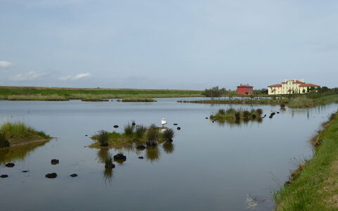 Villa Camerini, Nature, Bikes and Beaches: Watervoorraden, Water, Zwemwater, Moeras, Natuurlijk Landschap, Waterweg, Bank, Waterloop