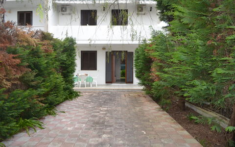 Amanda: Tuin, Werf, Backyard, Evergreen