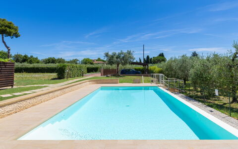 Rose Adriano Home